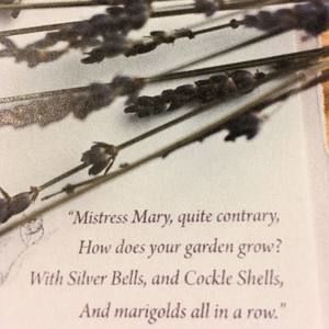 Meet your Posher, Mary